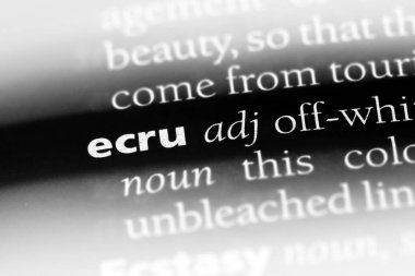 bir sözlüğü'ndeki Ekru sözcüğü. Ekru kavramı