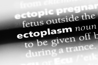 ektoplazma tek kelimeyle bir sözlük. ektoplazma kavramı