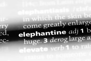 bir sözlüğü'ndeki fil sözcüğü. fil kavramı