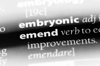 bir sözlüğü'ndeki sözcüğü emend. kavram emend