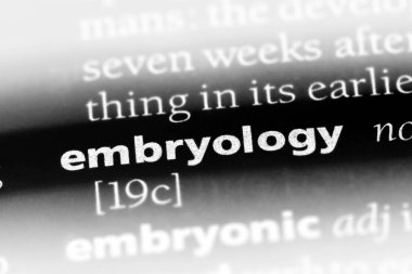 Embriyoloji Word'de bir sözlük. Embriyoloji kavramı