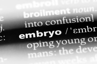 embriyo Word'de bir sözlük. embriyo kavramı