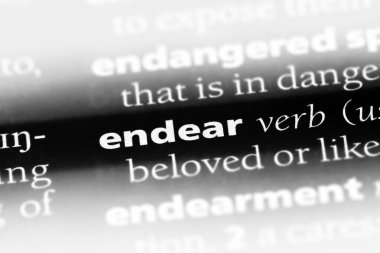 bir sözlüğü'ndeki sözcüğü sevdirmek. kavram sevdirmek