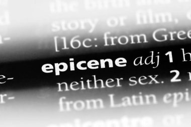 epicene tek kelimeyle bir sözlük. epicene kavramı