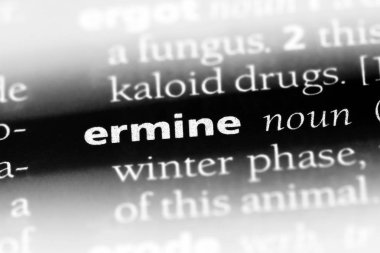 Ermin Word'de bir sözlük. Ermin kavramı