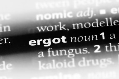 ergot Word'de bir sözlük. ergot kavramı