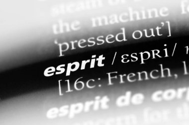 Esprit Word'de bir sözlük. Esprit kavramı