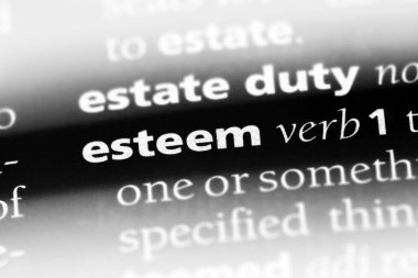 bir sözlüğü'ndeki sözcüğü saygısı. saygısı kavramı