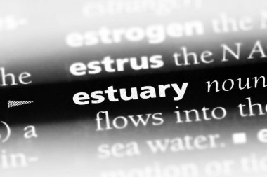 Haliç Word'de bir sözlük. Haliç kavramı