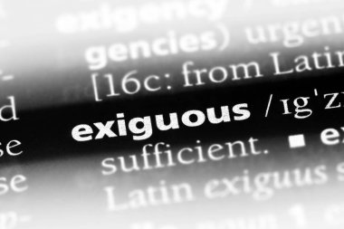 exiguous tek kelimeyle bir sözlük. exiguous kavramı