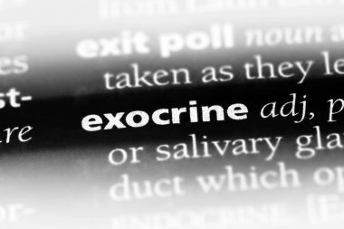 ekzokrin tek kelimeyle bir sözlük. ekzokrin kavramı