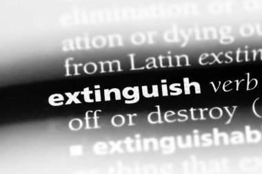 bir sözlüğü'ndeki sözcüğü söndürmek. kavram söndürmek