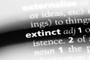 soyu tükenmiş tek kelimeyle bir sözlük. soyu tükenmiş kavramı