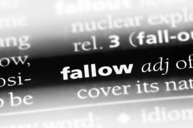 bir sözlüğü'ndeki nadas sözcüğü. nadas kavramı