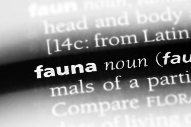 Fauna Word'de bir sözlük. Fauna kavramı
