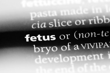 fetus Word'de bir sözlük. fetus kavramı