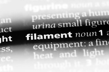 filaman Word'de bir sözlük. filaman kavramı