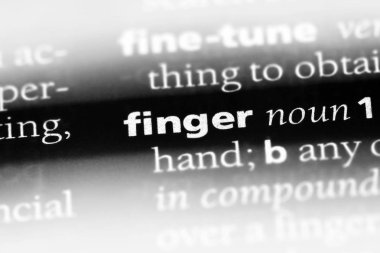 parmak Word'de bir sözlük. parmak kavramı