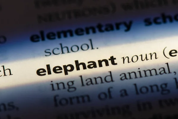 Palavra Elefante Dicionário Conceito Elefante — Fotografia de Stock