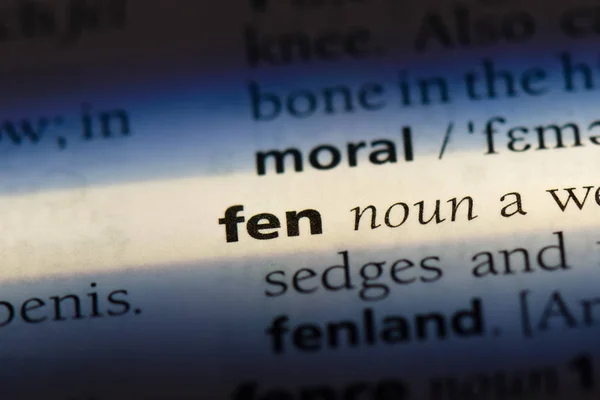 単語を辞書でフェン フェンのコンセプト — ストック写真
