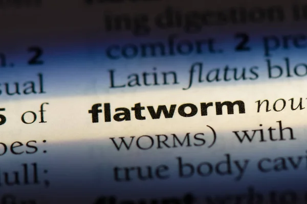 Flatworm Word Dictionary Flatworm Concept — Stock Photo, Image