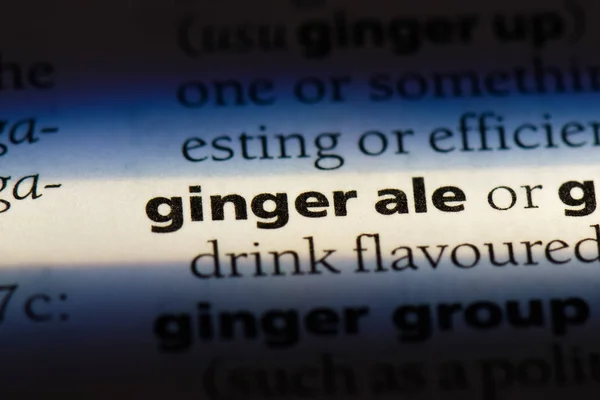 Ginger Ale Word Dictionary Ginger Ale Concept — Stock Photo, Image