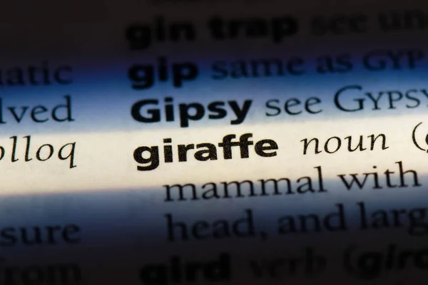 Palavra Girafa Dicionário Conceito Girafa — Fotografia de Stock