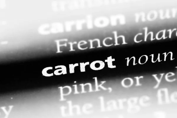 Морковное Слово Словаре Концепция Моркови — стоковое фото