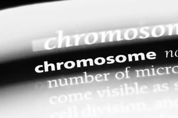 Chromosoom Woord Een Woordenboek Chromosoom Concept — Stockfoto