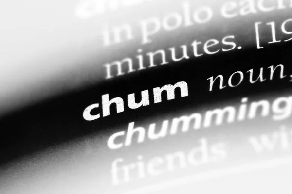 Chum Wort Einem Wörterbuch Chum Konzept — Stockfoto
