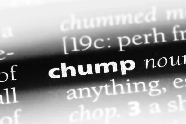 Schlagwort Einem Wörterbuch Chump Konzept — Stockfoto