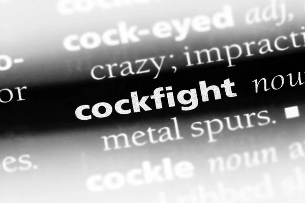 Cockfight Słowo Słowniku Koncepcja Cockfight — Zdjęcie stockowe