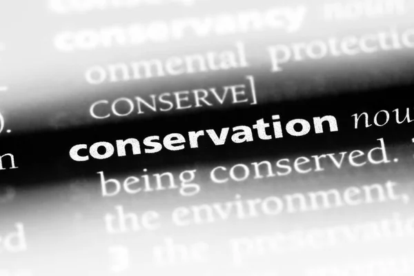 Mot Conservation Dans Dictionnaire Concept Conservation — Photo