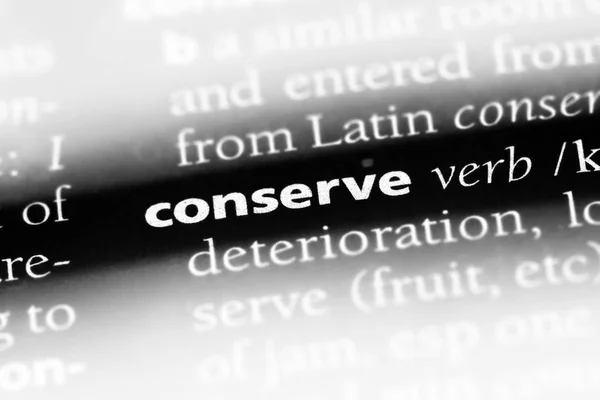 Conservar Palavra Dicionário Conservar Conceito — Fotografia de Stock