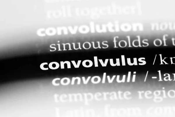 Convolvulvus Woord Een Woordenboek Convolvulvus Concept — Stockfoto