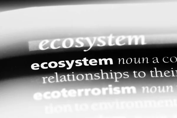 Ecosystem Word Dictionary Ecosystem Concept — Stock Photo, Image