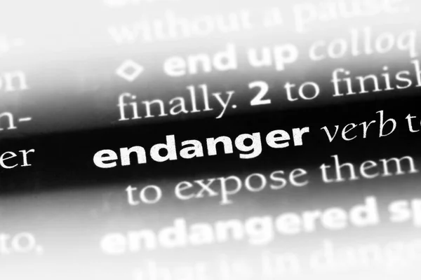 Endanger Word Dictionary Endanger Concept — Stock Photo, Image