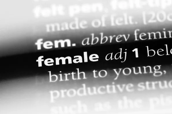 Θηλυκό Λέξη Ένα Λεξικό Θηλυκό Έννοια — Φωτογραφία Αρχείου