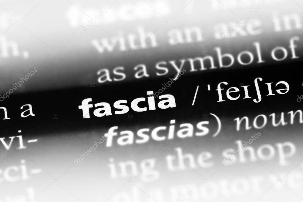 fascia word in a dictionary. fascia concept