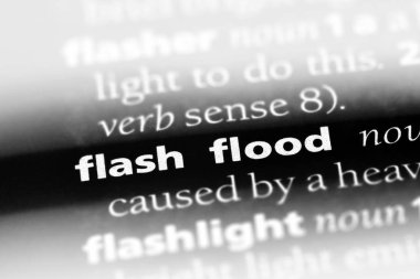 ani sel Word'de bir sözlük. ani sel kavramı