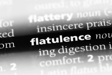 gaz Word'de bir sözlük. gaz kavramı