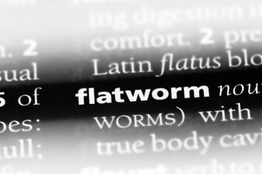 kurguya Word'de bir sözlük. kurguya kavramı