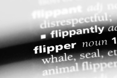 Flipper Word'de bir sözlük. Flipper kavramı