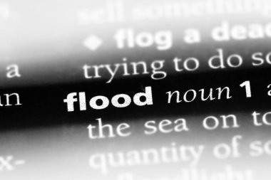 bir sözlüğü'ndeki sözcüğü sel. sel kavramı