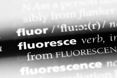 bir sözlüğü'ndeki sözcüğü bulabilsem. kavram bulabilsem