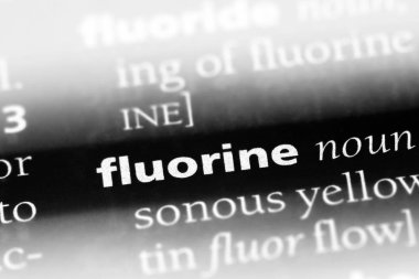 Flor Word'de bir sözlük. Flor kavramı