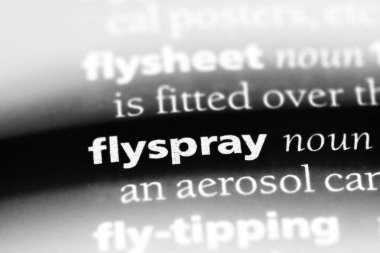 flyspray sözcük sözlüğe. flyspray kavramı