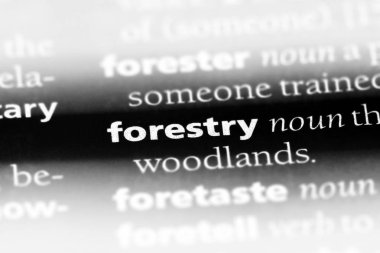 bir sözlüğü'ndeki orman sözcüğü. Ormancılık kavramı