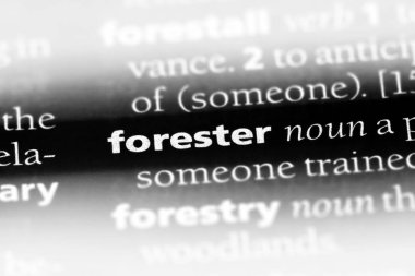 Forester Word'de bir sözlük. Forester kavramı