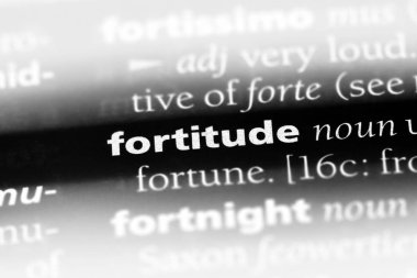 metanet Word'de bir sözlük. metanet kavramı